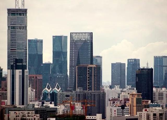 小年的粮仓｜金地篇：规模、布局、变化的一年