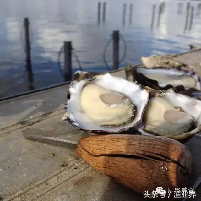 澳洲著名海鲜大赏