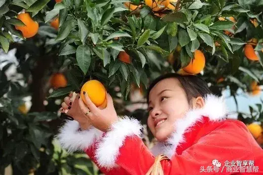 你知道的三峡大坝，你不知道的秭归 和年产35万吨的秭归脐橙