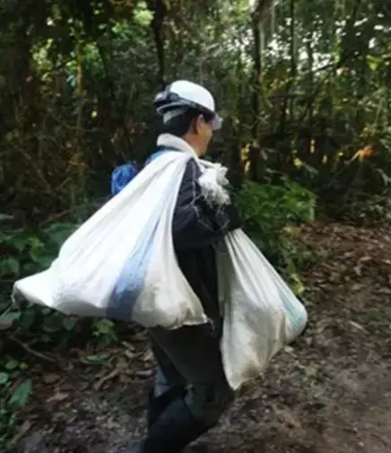 你听说了吗？在新加坡捡榴莲，是违法的！
