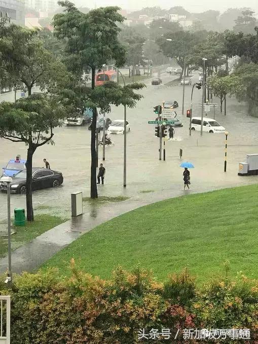 告急：新加坡突发大水，数百万人遭殃！