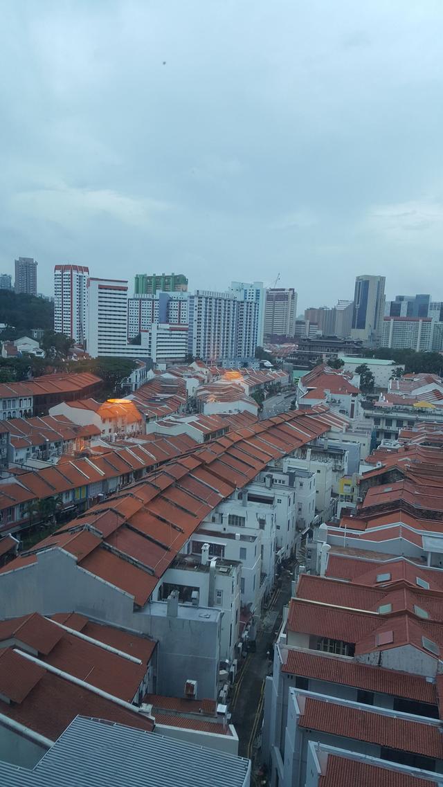 新加坡旅游介绍