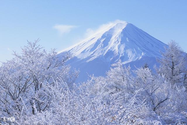175名中国旅客被弃日本成田机场，我们还去不去日本旅游？