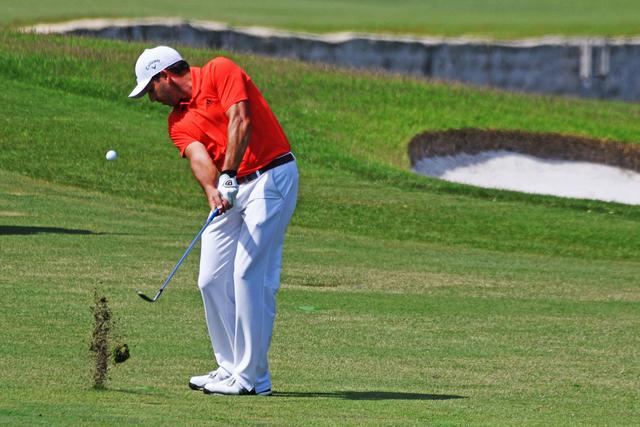 （体育）（2）高尔夫——新加坡公开赛：加西亚夺冠