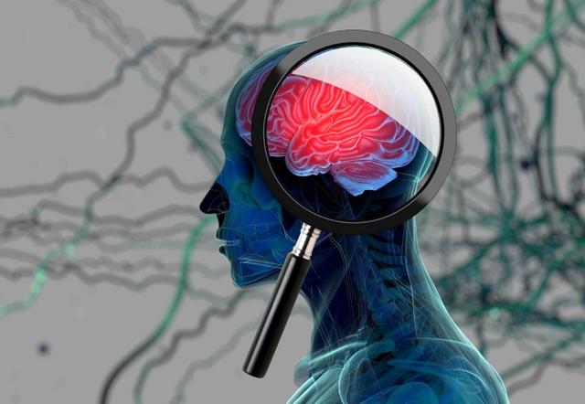Cell惊人发现！肠道微生物影响大脑关键免疫细胞，不同性别有差异