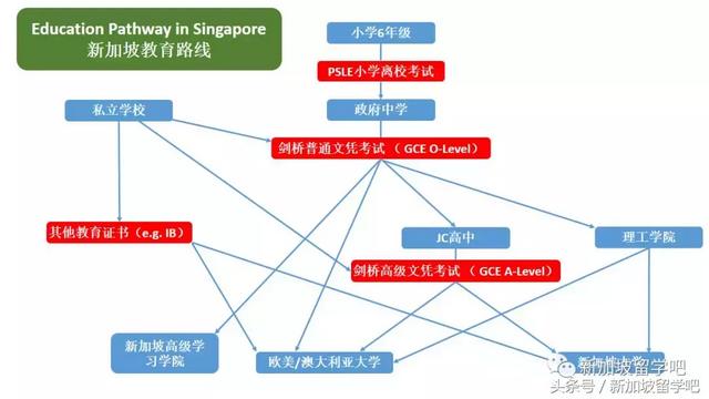 Offer拿来｜全面介绍新加坡N-O-A Level｜孩子的路我们说了算