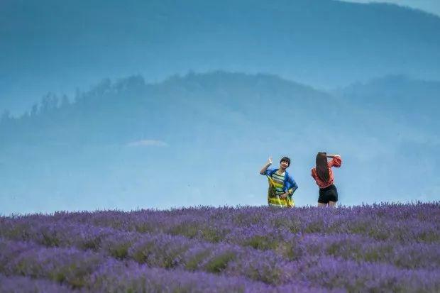 大城市没意思？华人游客迷恋上澳大利亚的“世外桃源”！