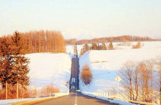 元旦中国出境游最受欢迎国家，日本第一，韩国为零