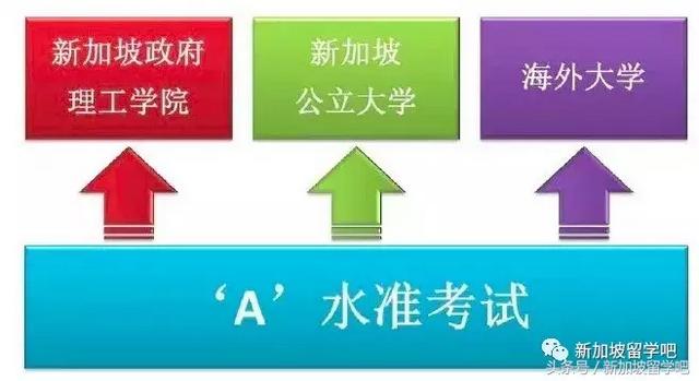 Offer拿来｜全面介绍新加坡N-O-A Level｜孩子的路我们说了算