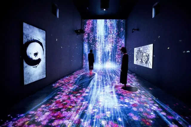 让全球几百万人疯狂的teamLab光电艺术展，你可一定要去看看