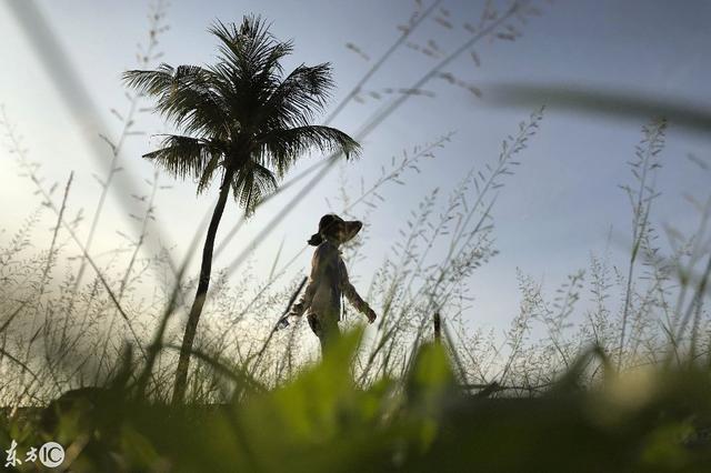 一名女性在新加坡东海岸散步，阳光与青草，给摄像师加鸡腿！