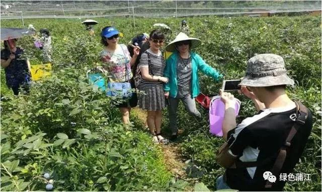 厉害！蒲江县被列为第一批国家有机食品生产基地建设示范县（试点）