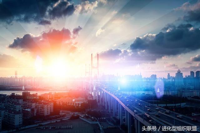 重新定义管理之现代管理之痛