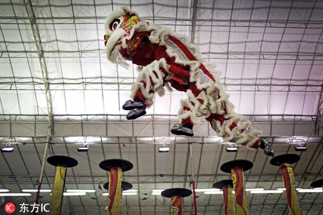 第11届国际狮王争霸赛在新加坡举行 迎农历春节到来