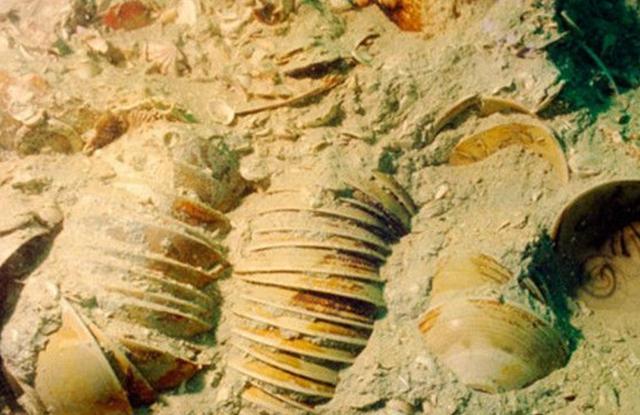 印尼海底发现七万件中国文物，对方表示想买回可以，少于3亿免谈