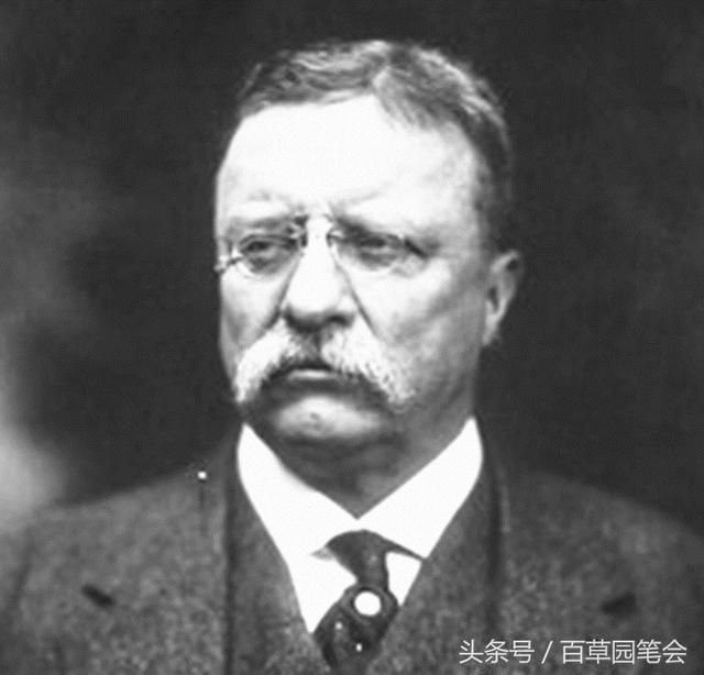 114年前，慈禧接见美国总统罗斯福的女儿艾丽斯，发生了一件怪事