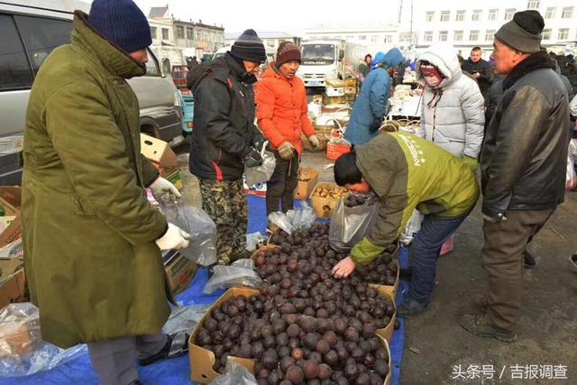 走进长春乐山大集，用两个字形容叫“震撼”！