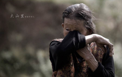 新加坡101只忠“狗”，见证穿越时空的亲情！