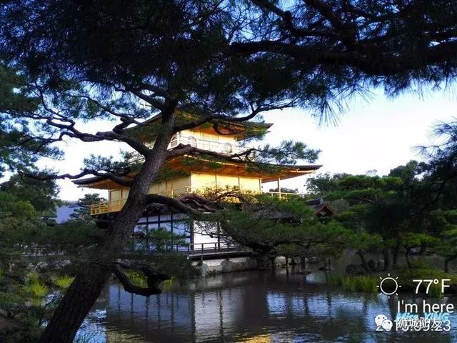 这样逛日本古都，尝遍地道街头小吃