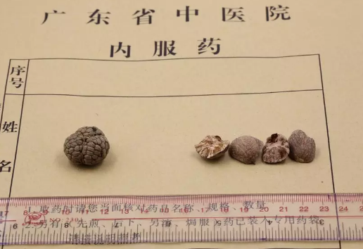 草豆蔻和肉豆蔻，2者有何区别？一篇文章教你区分