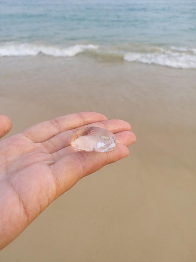 大海天空，椰林树影，走心度假—三亚海湾之旅