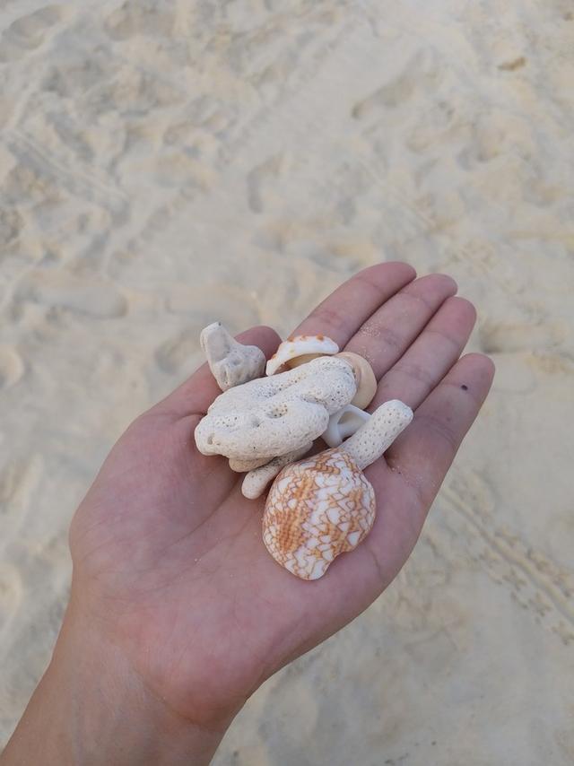 大海天空，椰林树影，走心度假—三亚海湾之旅