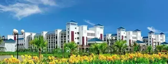 东莞小升初名校录丨光正实验学校