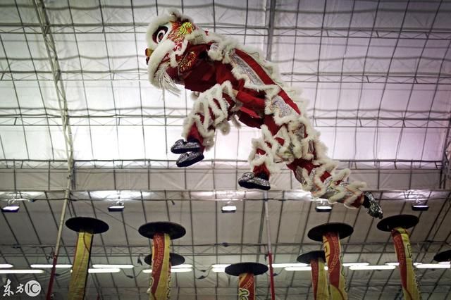 新加坡举行第11届狮王争霸赛 庆祝中国传统春节