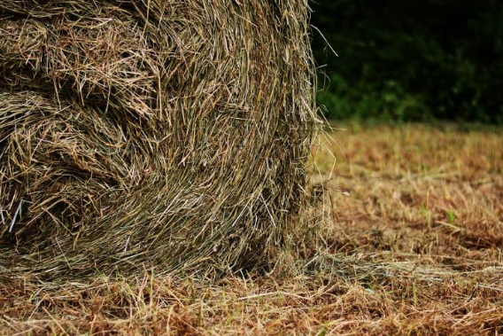 新加坡创业故事：一间办公室