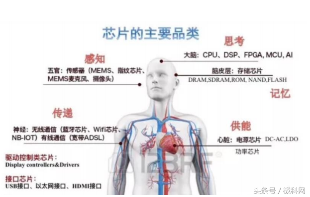 我国芯片业向IC 设计、设备、封测全面发展 各领域领先企业有哪些