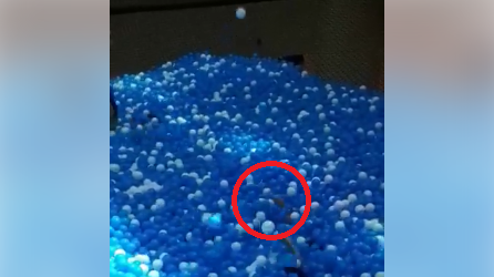 新加坡悬空游乐场：彩球池险“遇溺”惊魂记！