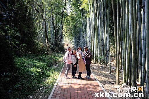 赏花登山住民宿 过年足不出市“游世界”(2)