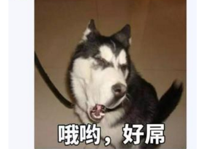在新加坡还想明着搞三妻四妾，以为有钱就了不起！