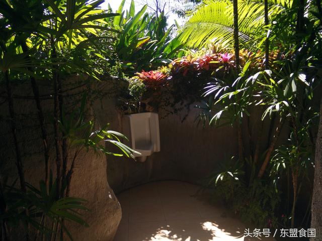 去泰国过年，来一桌森林之春年夜饭要不要？看了再说！