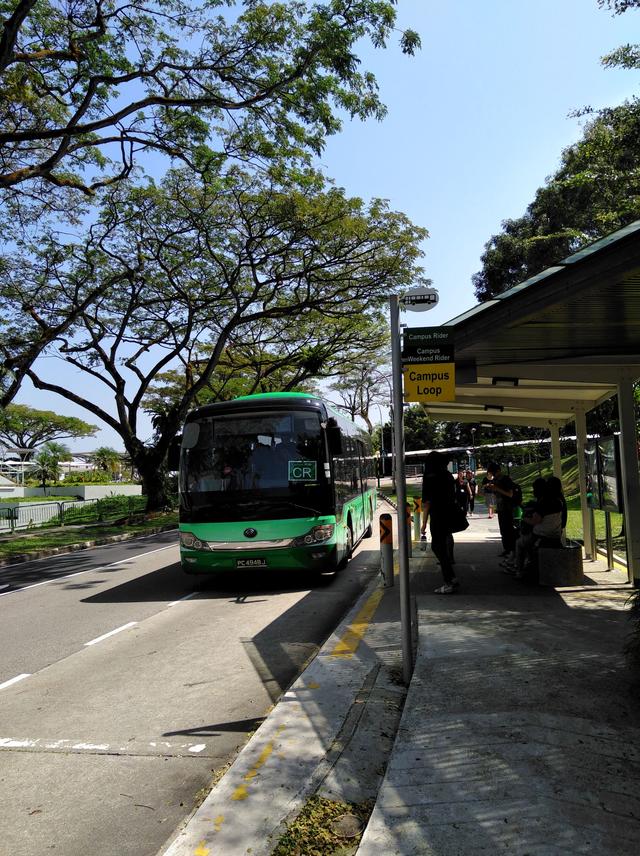 书虫新加坡之行：一所没有围墙的大学