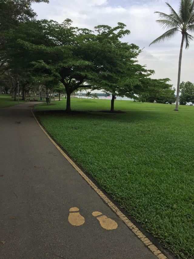 在北方寒冷的冬季，感受一下新加坡如春的景色吧