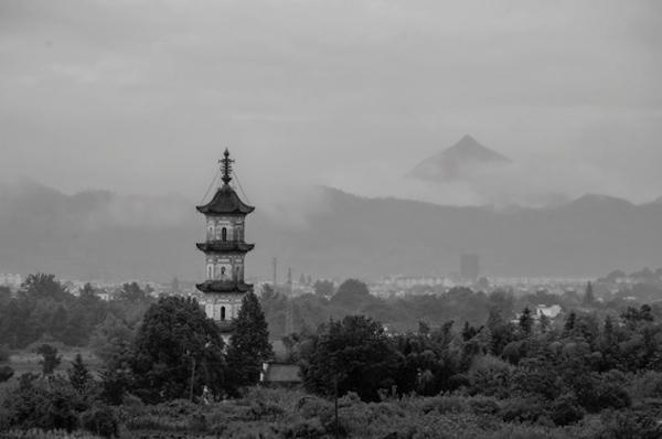 艺术与乡土建设④