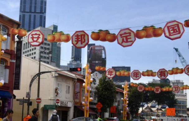 “开花结狗”？新加坡的中文水平简直高出天际线