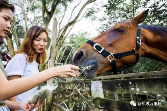 坡岛超美的12条骑行路线，总有一条适合你～