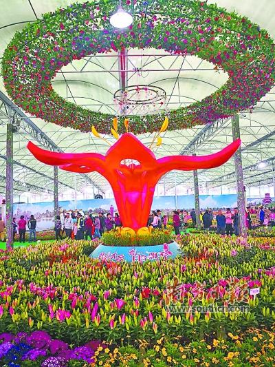 一场鲜花盛宴背后的  农业转型
