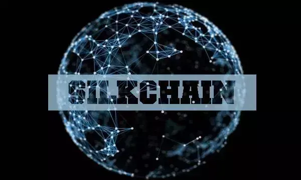 用区块链赋能跨境电商：大龙网参与SilkChain背后的野心