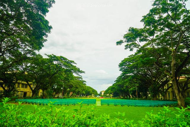 能和你们一起分享的旅行，才是最好的沿途风景！（菲律宾轻游记）