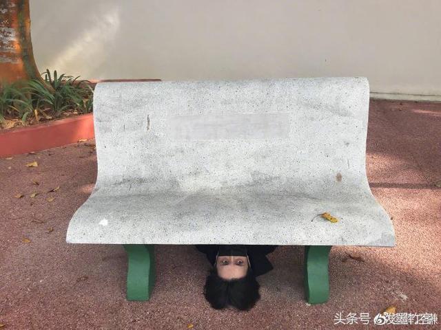 薛之谦晒新加坡游玩照，画风清奇，果然还是熟悉的“薛味”