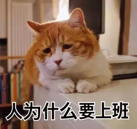 新加坡版“水滴互助”和它的区块链梦