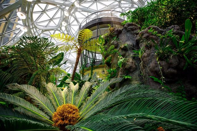 亚马逊总部：以植物为中心的西雅图球体