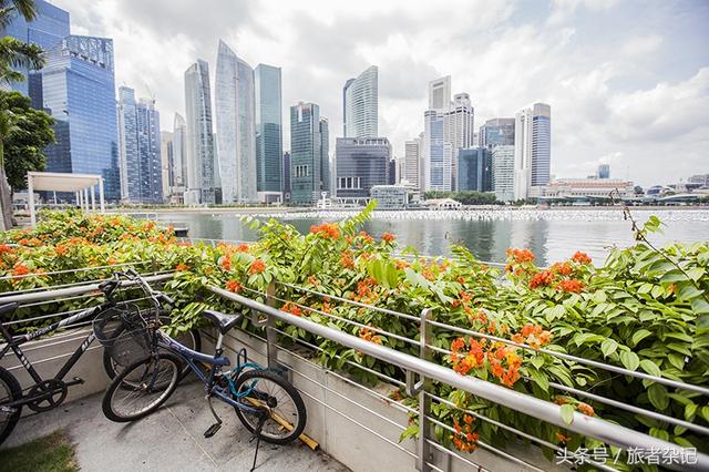 新加坡河畔的思绪