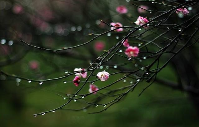 汉新闻 早播报：今晚开始，武汉将迎来一场春雨