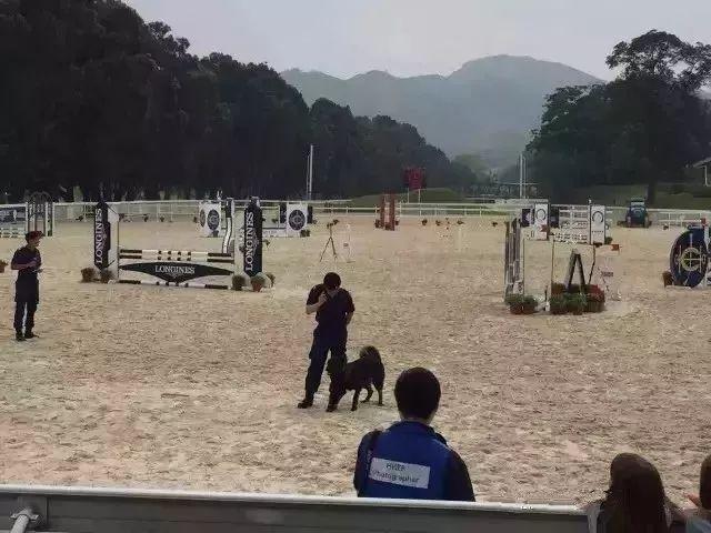 真实的香港是一种怎样的存在？很多东西没想到