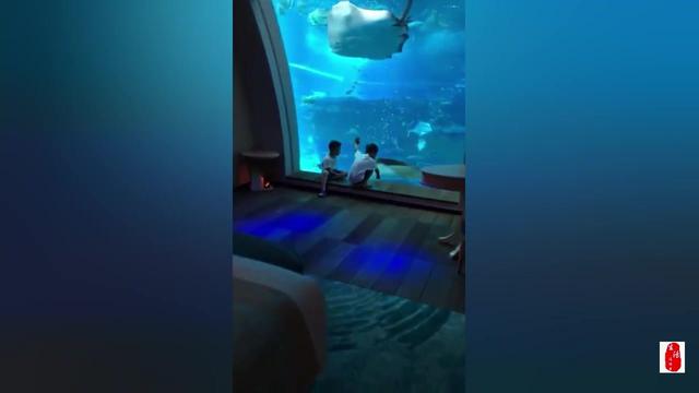 新加坡海底套房，情人节最好的礼物~