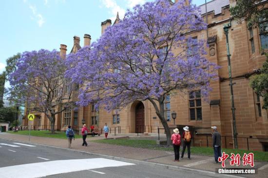 澳媒：世界大学专业排名出炉 护理学成澳优势学科